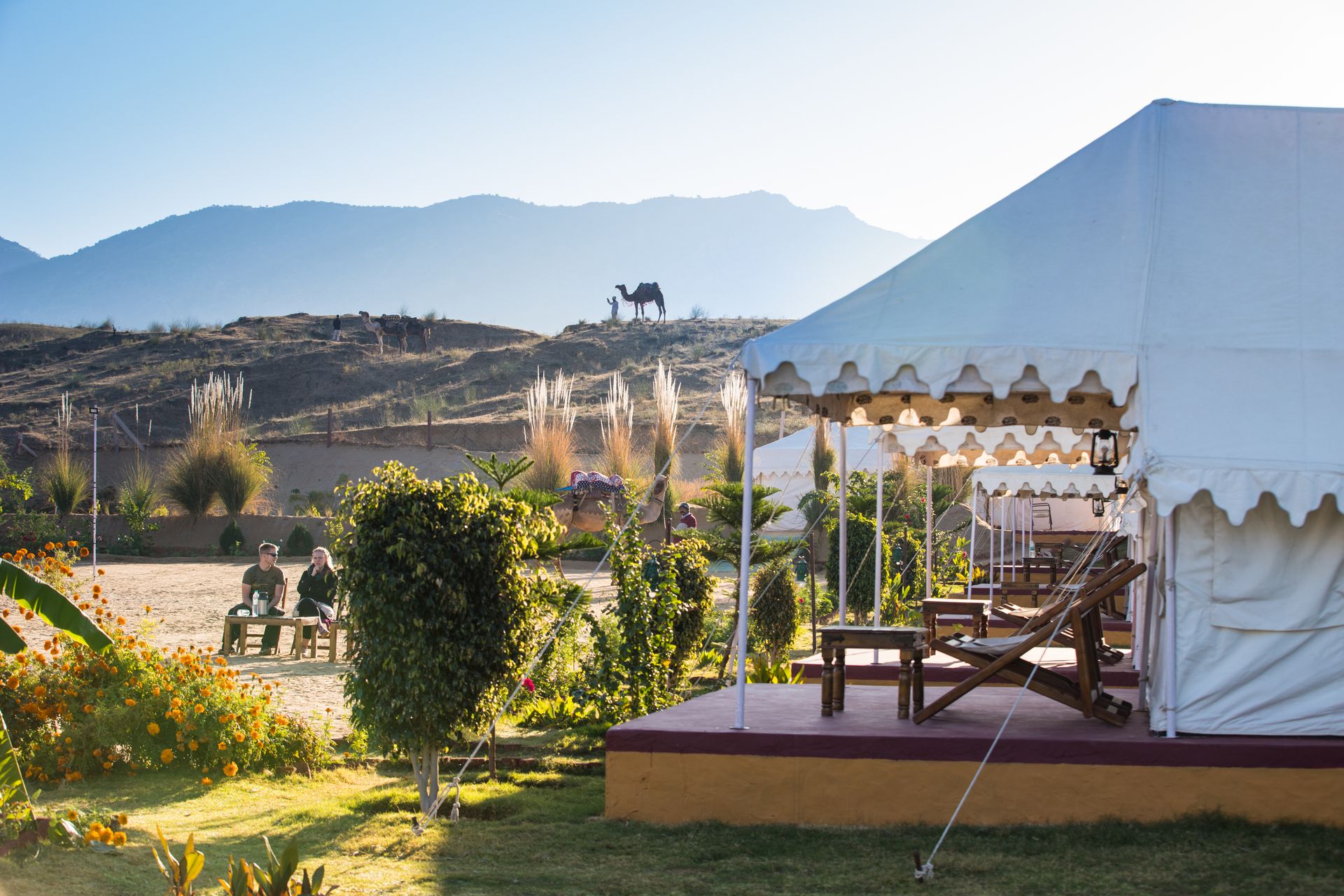 Page Travel Blogs Pushkar, Pushkar Adventure Desert Camp, Best Camp in Pushkar, Rajasthan Tourism, Pushkar Experiences